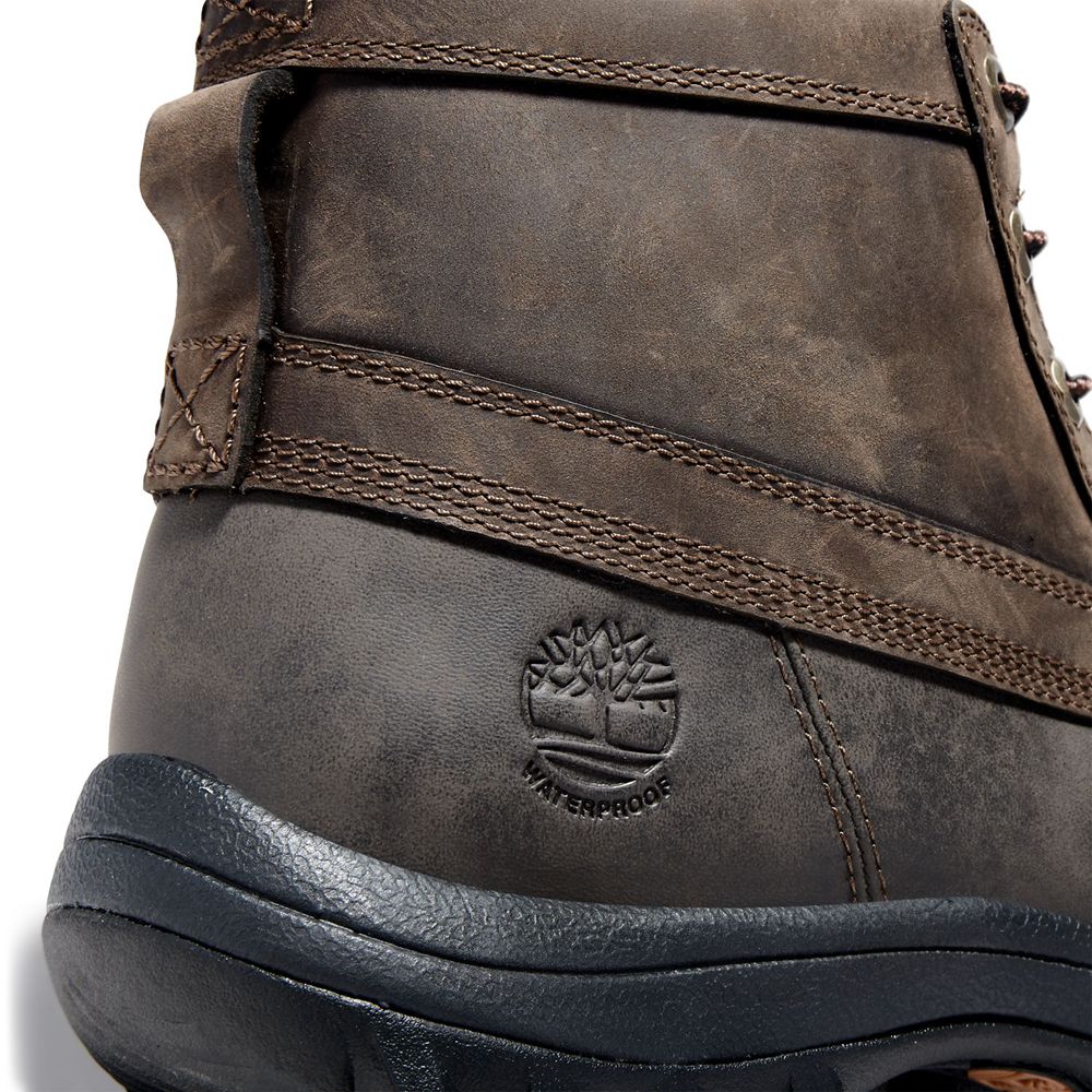 Botas de Nieve Timberland Hombre Canard Mid Waterproof Cuero Marrones - Chile FNX-670581